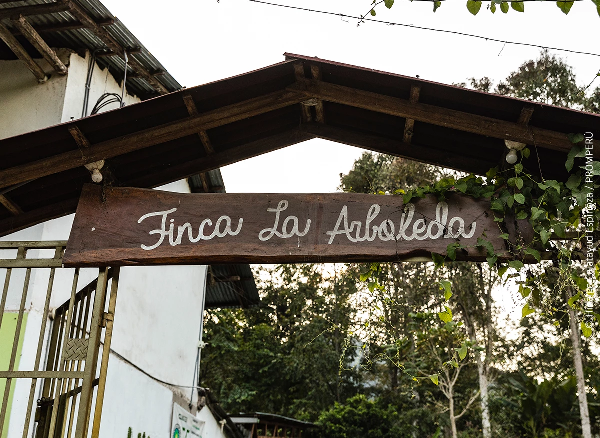 Lugares turísticos de Moquegua- Malecón de Ilo
